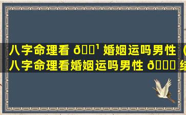 八字命理看 🌹 婚姻运吗男性（八字命理看婚姻运吗男性 🐅 结婚好吗）